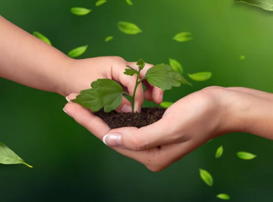 Sustainability & ESG Departments